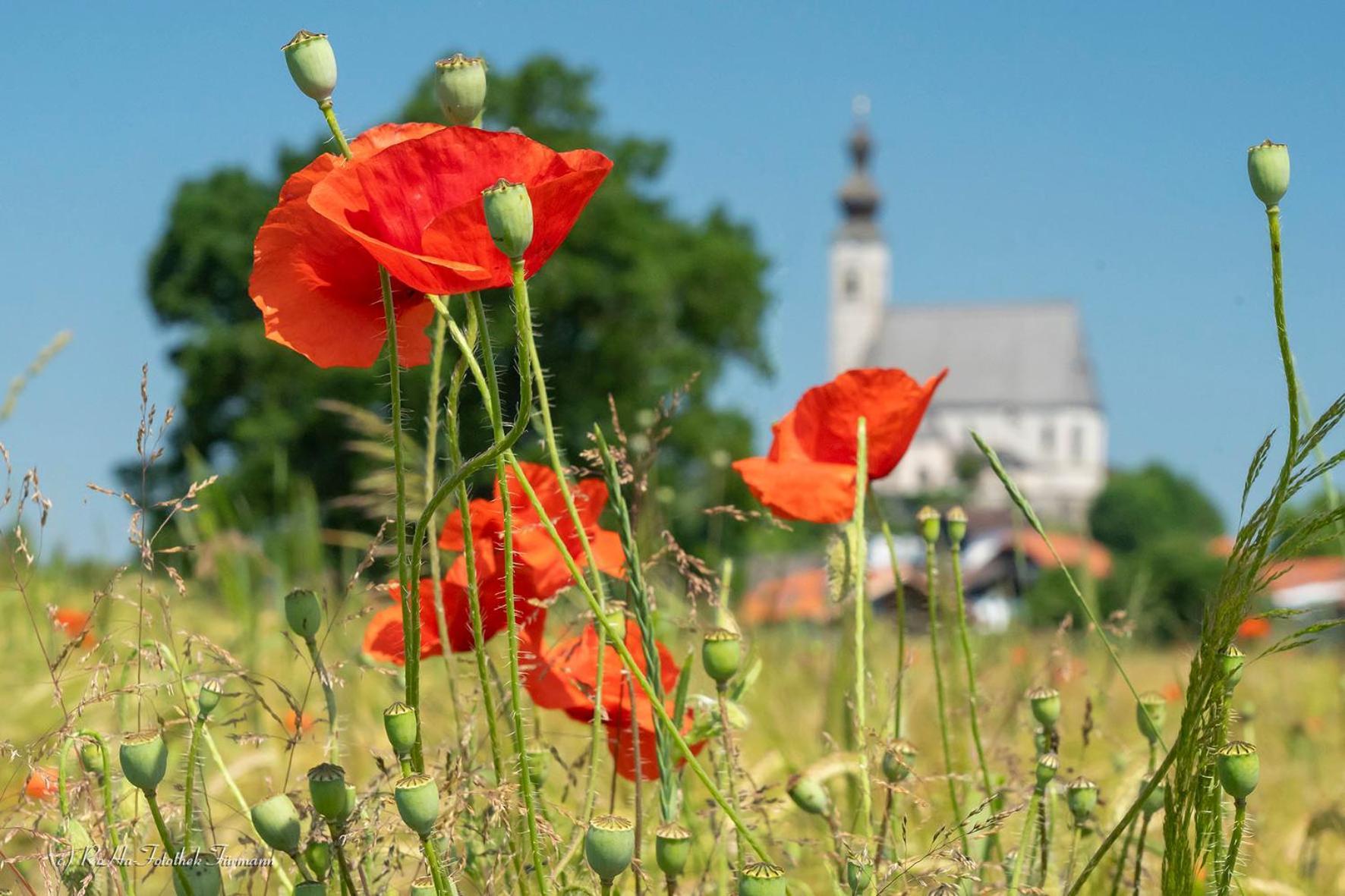 Hotel Haus Tschakert Anger Zewnętrze zdjęcie